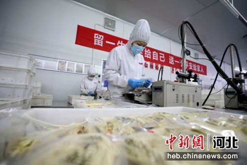 科技賦能產(chǎn)業(yè)升級(jí) 邢臺(tái)隆堯探索食品強(qiáng)縣新路徑